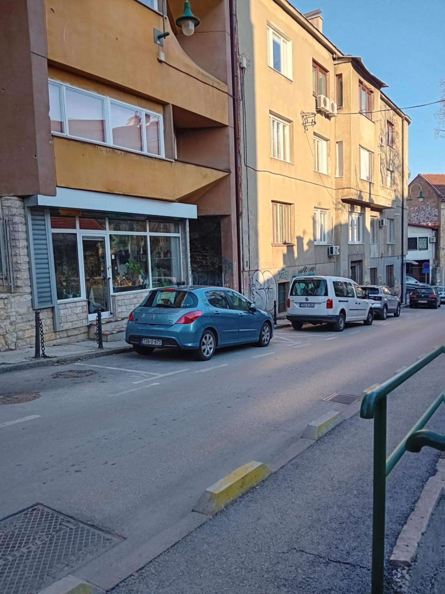 Floki In The Center * Sarajevo